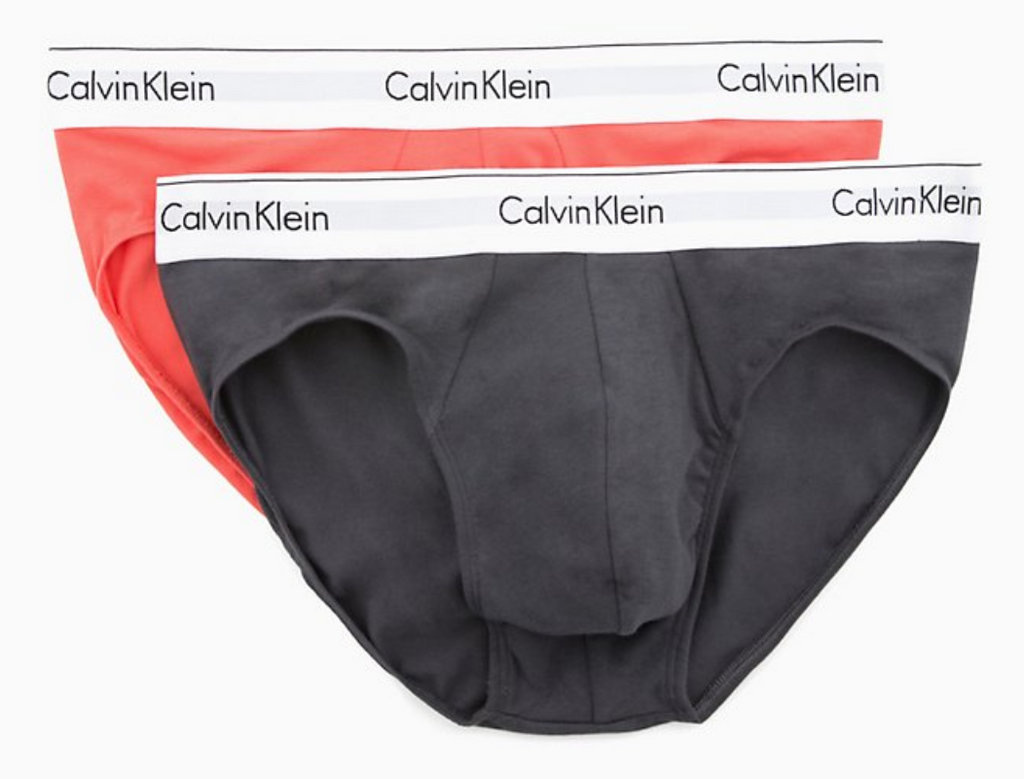 CALVIN KLEIN MODERN COTTON STRECTCH BRIEF - 2 PACKS NB1084